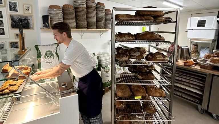 trouvez un artisan qualifi&eacute; &agrave; bourg pour vos travaux de r&eacute;novation, construction, plomberie, &eacute;lectricit&eacute; et plus. services rapides, professionnels et personnalis&eacute;s &agrave; bourg et ses environs.