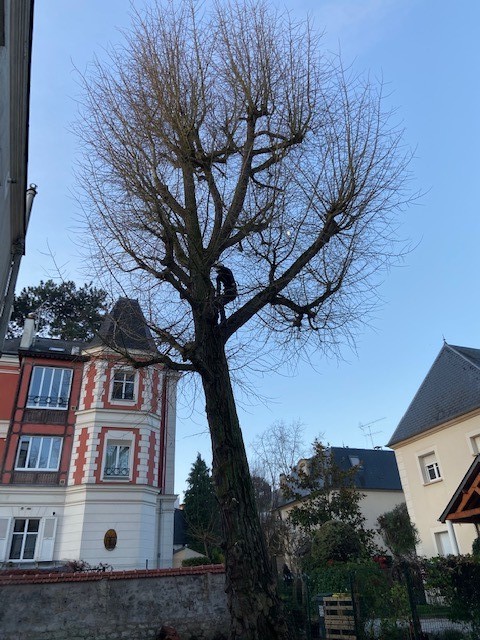 d&eacute;couvrez tous les services de travaux &agrave; bourg-la-reine 92340 : r&eacute;novation, construction, am&eacute;nagement int&eacute;rieur et ext&eacute;rieur. devis gratuit, artisans qualifi&eacute;s et interventions rapides.