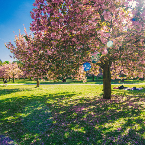 d&eacute;couvrez les meilleurs prix pour la pose et l'achat de parquet &agrave; bourg-la-reine. comparez les tarifs, types de parquets et b&eacute;n&eacute;ficiez de conseils d'experts pour votre projet !