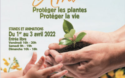 d&eacute;couvrez comment r&eacute;nover &eacute;cologiquement votre maison &agrave; bourg-la-reine : conseils, solutions durables et accompagnement pour un habitat sain et respectueux de l&rsquo;environnement.